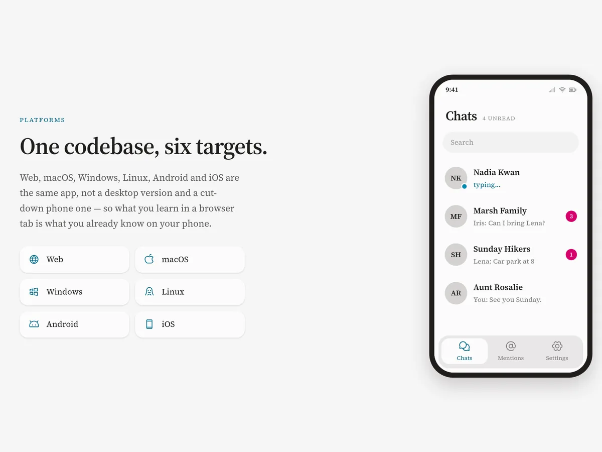 LightChat on a phone, from the platforms section of the landing page